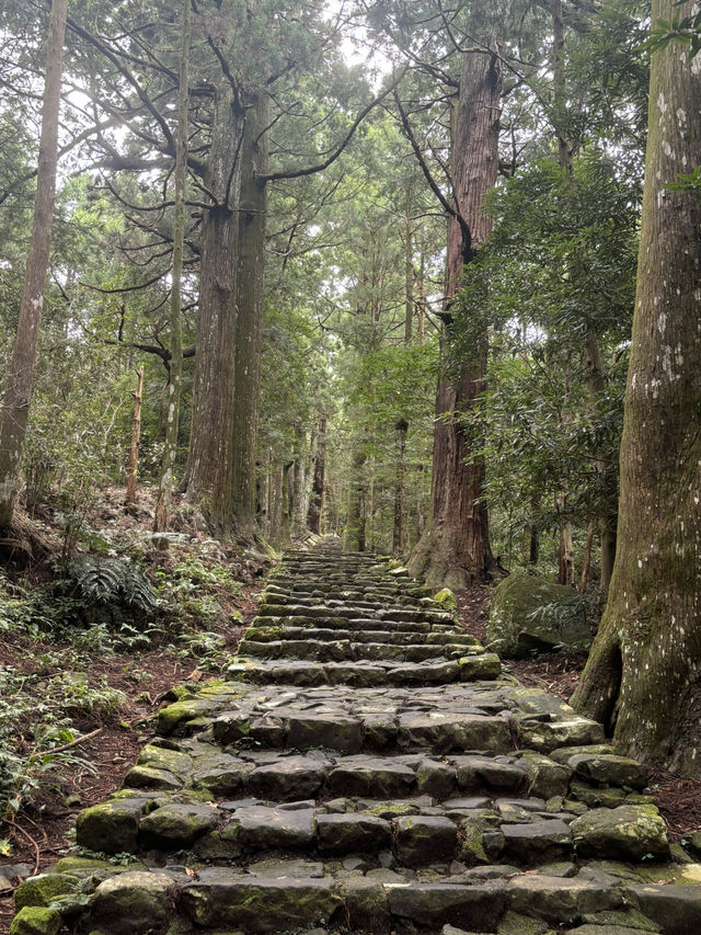 大門阪：那智的古道石梯🏞️🪨