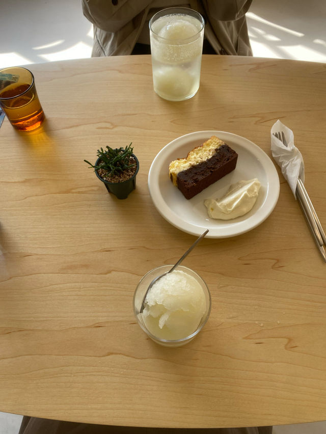 🧸🍧창원 가로수길 카페 | 롱테일커피