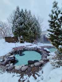 Asahikawa Winter Escape: Snow Sculptures, Penguins & Private Onsen Bliss