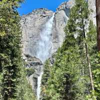🏔️ Escape to Yosemite: A Breathtaking Day Trip from San Francisco! 🏞️