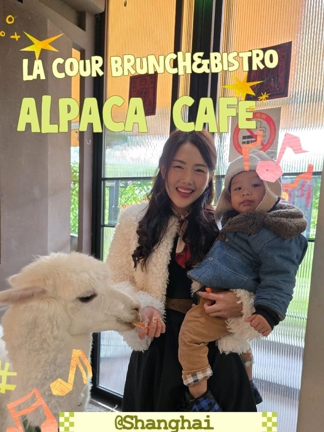 LA COUR Brunch&Bistro คาเฟ่ที่มีอาปาก้า @Shanghai 