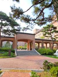김포공항 메이필드호텔 인 룸 다이닝