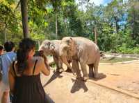 Phu Quoc Island 5 Days Itinerary