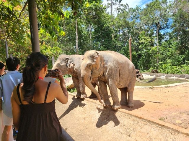 Phu Quoc Island 5 Days Itinerary