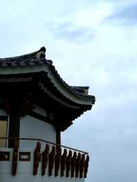 🏝🍛🏮히타카츠 1일 여행 추천 -가장 가까운 일본, 히타카츠에서 마주한 낯선 일상