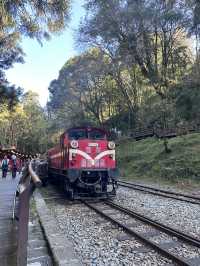 alishan national park