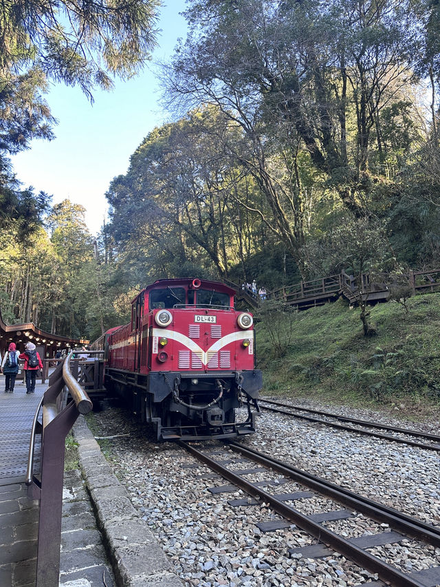 alishan national park