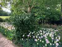 Pashley Manor Gardens – A Timeless English Country Garden