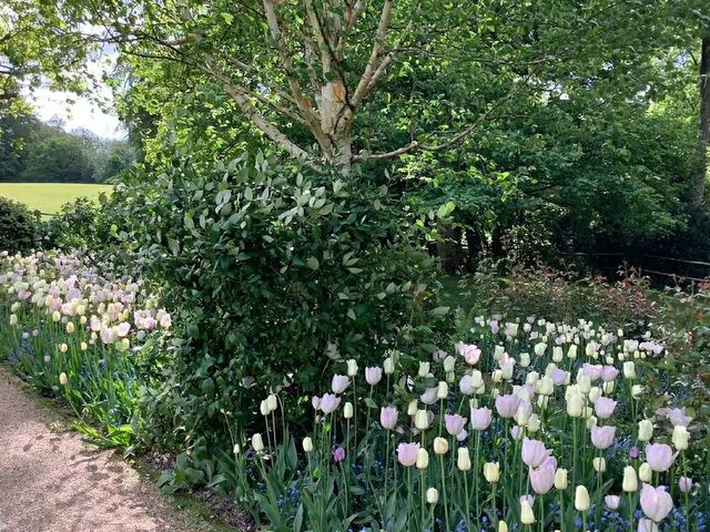 Pashley Manor Gardens – A Timeless English Country Garden