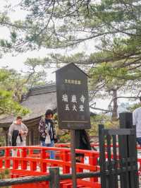 松島半日遊｜瑞巖寺、五大堂、伊達政宗歷史館