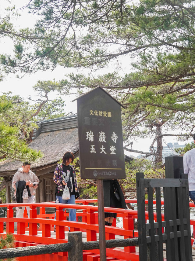 松島半日遊｜瑞巖寺、五大堂、伊達政宗歷史館