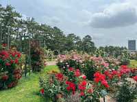 Hamadera Park – Osaka’s Historic Green Escape