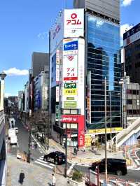 Tokyo เมืองแห่งชีวิตชีวา