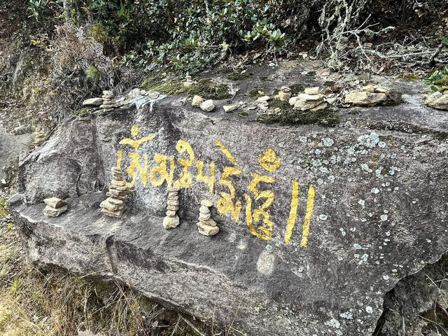 A Hike to Remember in Thimphu -Kuenselphodrang National Park