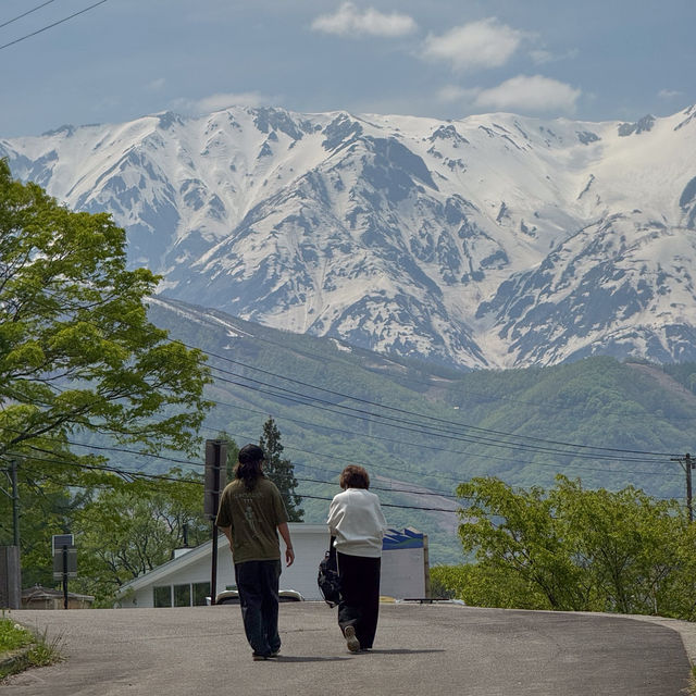 ”Oide Park“ ณ หมู่บ้านฮะคุบะ 🏔️🌲🇯🇵