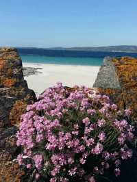 Wild Atlantic Way – Ireland’s Rugged Coastal Masterpiece