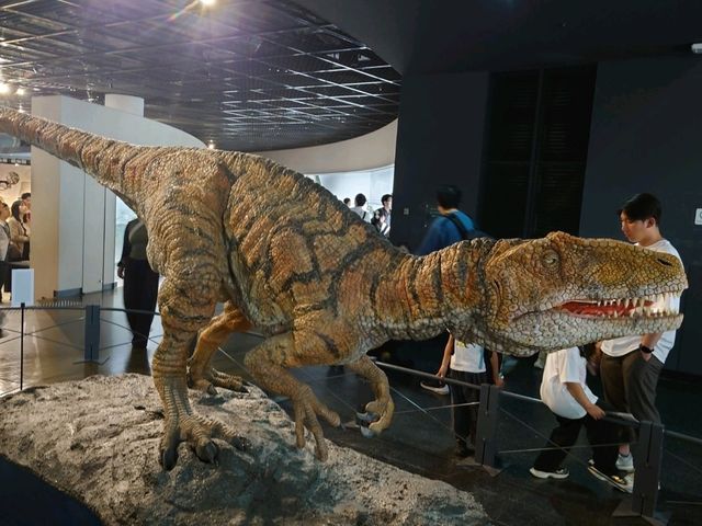 恐龍王國福井縣必去景點：福井縣立恐龍博物館