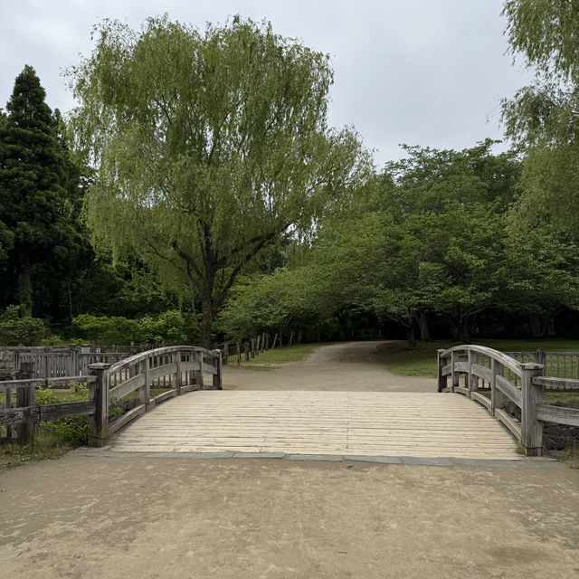 まるで昭和の世界？様々な体験もできる広大な土地