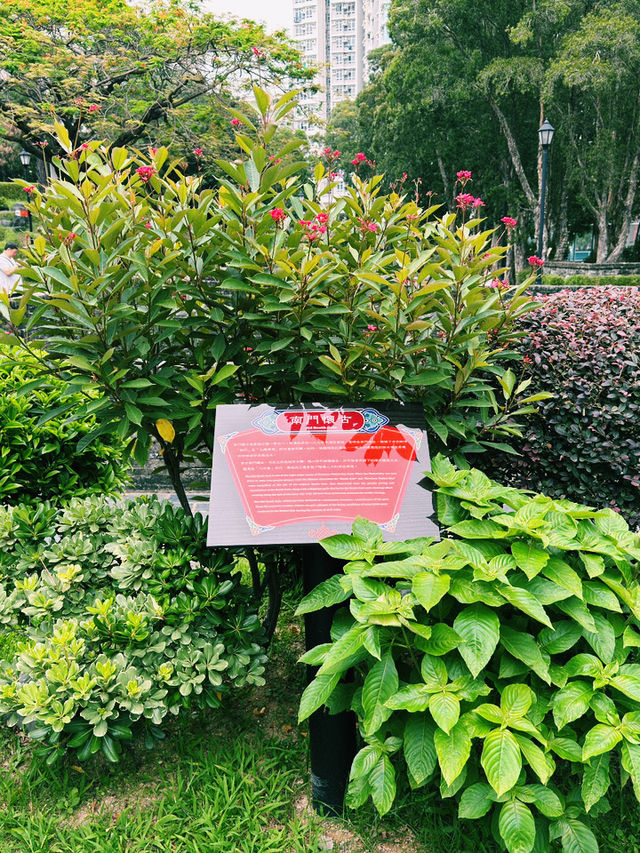 九龍寨城公園｜香港深度遊的歷史與園林詩篇