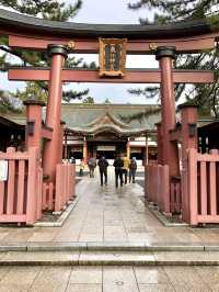 Winter Wonders in Fukui – Temples, Dinosaurs & Peaceful Shrines 