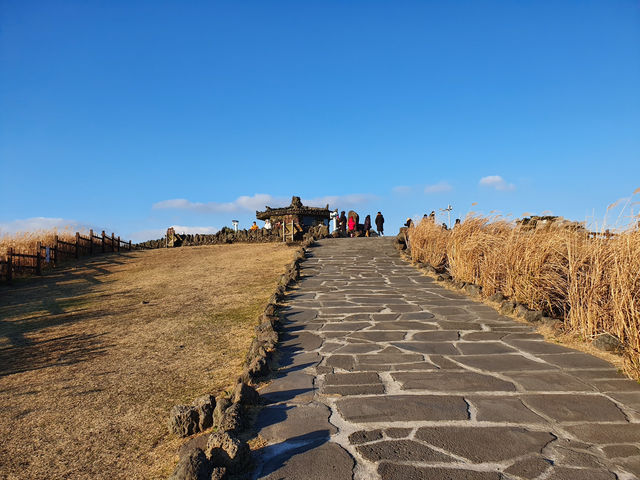 제주도여행 산굼부리, 사려니숲길, 갈치조림으로 마무리⛰️