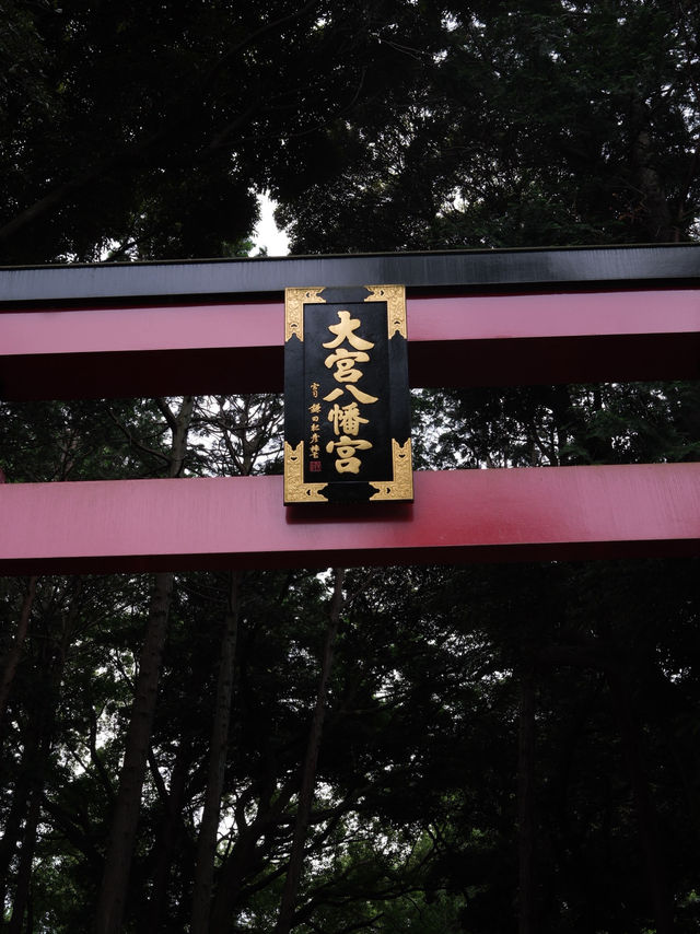 【東京🇯🇵】週末のんびり杉並観光Day🤍