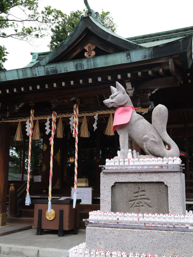 【東京🇯🇵】週末のんびり杉並観光Day🤍