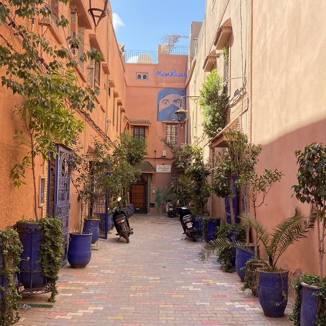 Springtime in the Medina: My Marrakech Adventure