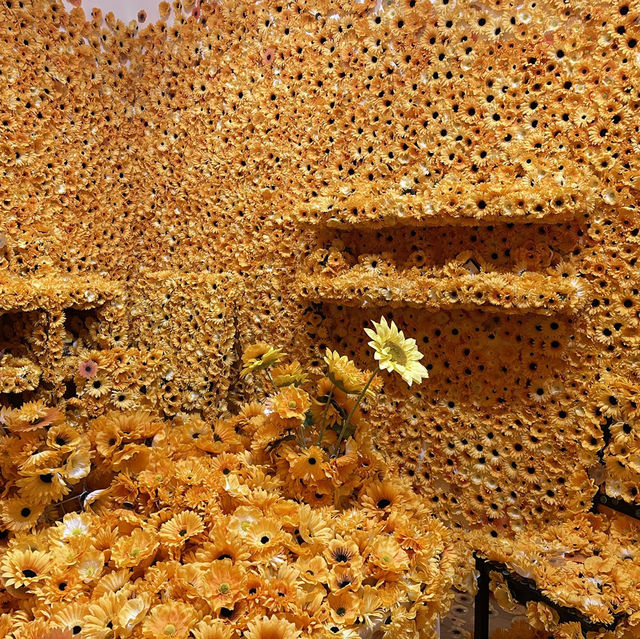 ドットは向日葵のアートが圧巻🫣🌻草間彌生の世界観が広がる美術館🫶