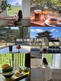 韓国/京畿道【水原】水原カフェ6選