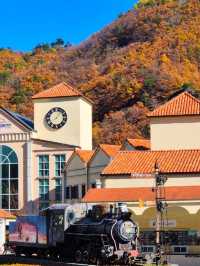 삼척가을단풍뷰관광지🍁하이원추추파크