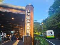 行！走入超完美芬多精仙境～阿里山森林公園