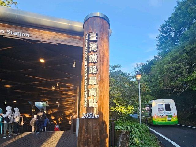 行！走入超完美芬多精仙境～阿里山森林公園