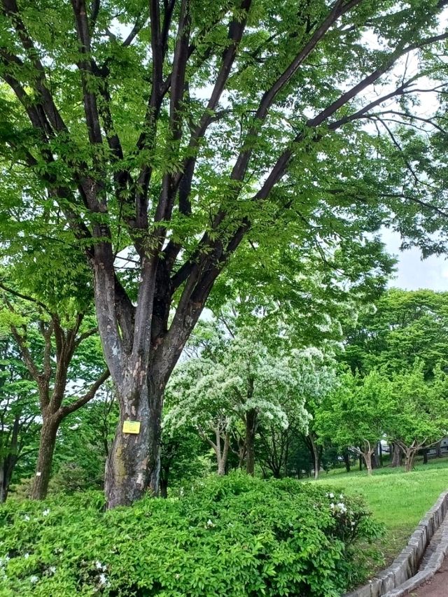 연인과 걷기 좋은 감성 데이트 코스