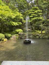 【石川県・金沢市】大庭園！兼六園🌲
