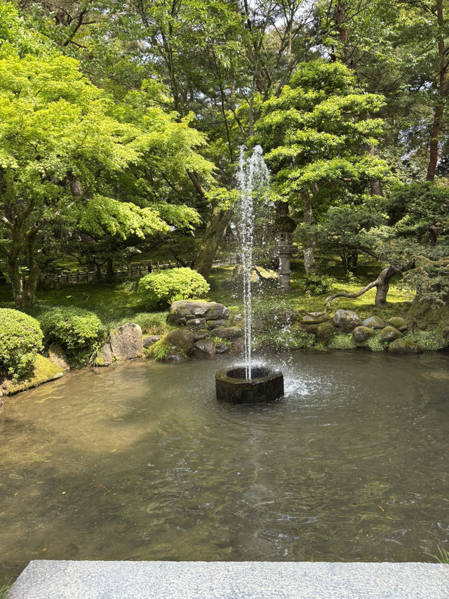 【石川県・金沢市】大庭園！兼六園🌲