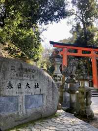 A Peaceful Day at Kasuga Taisha Shrine 🦌