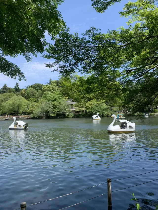 東京最想居住的地區——吉祥寺