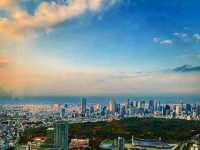 SHIBUYA SKY – Tokyo from Above