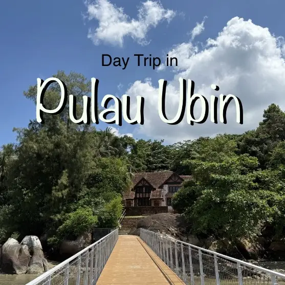 🚤🌿 Need a weekend break? Pulau Ubin is the perfect escape from city life!