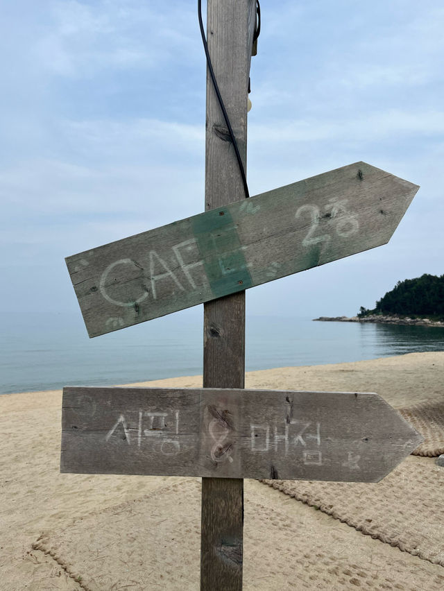 ⛵️🐚양양 잔교리 해변 모하나 카페