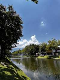15 popular hostels in chiang mai 