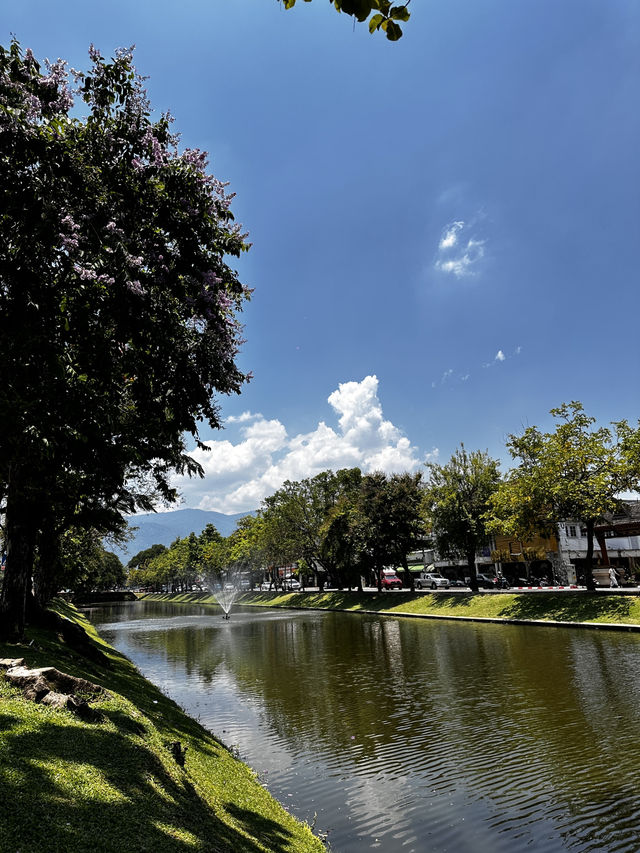 15 popular hostels in chiang mai 