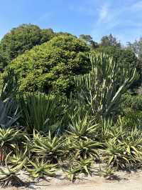 廈門園林植物園太美了