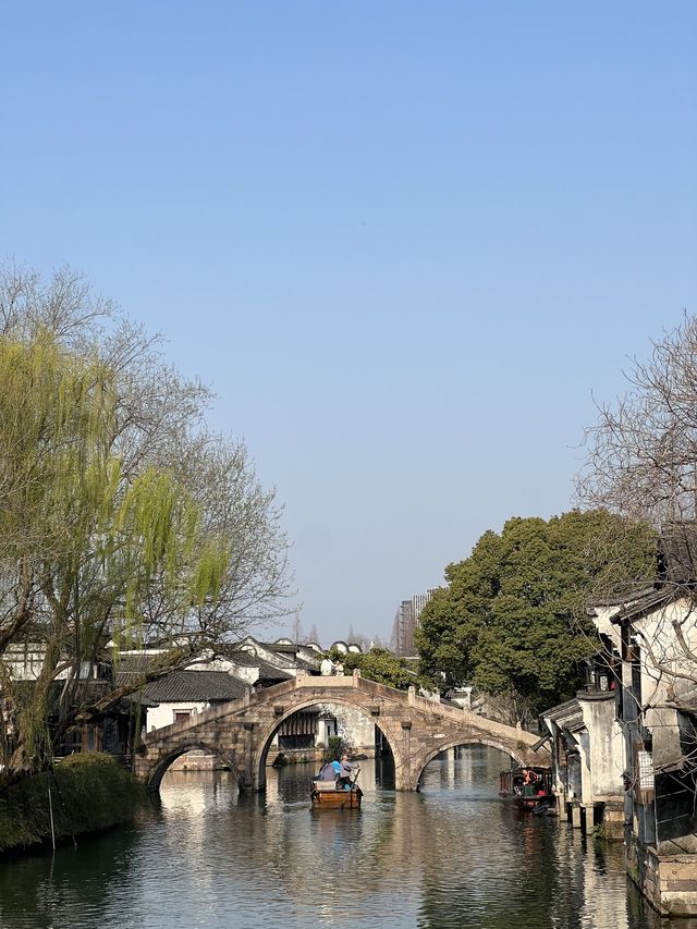 A Memorable Trip to Wuzhen