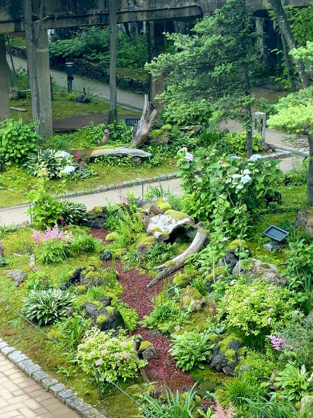 소문난 여의도한강공원 말고, 숨겨진 한강 스팟 추천🌿