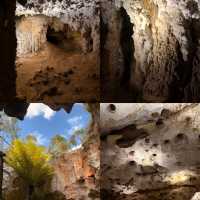 Mount Gambier | Perfect Spot for a Short Road Trip 🚗🌿 Naracoorte Caves National Park 