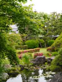 Japan in 12 days!