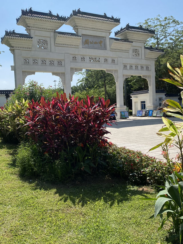 想不到深圳中山公園是這麼吸引的！！