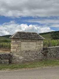 Burgundy for Wine Lovers: A Journey Through France’s Most Precious Vineyards